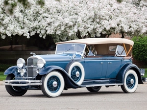 Lincoln, Phaeton, Sport, 1931, trees, viewes, Way, flourishing, antique