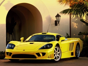 Line, bodies, Saleen S7, Sports, Yellow