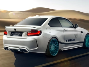 Hamman, White, BMW M2 Coupe F87