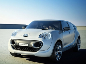 Citroen C-Cactus, Mask