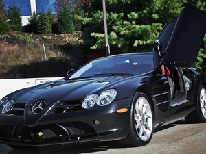 Mercedes Benz SLR McLaren, trees, viewes, Street