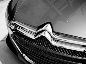 Grill, logo, Citroen Metropolis