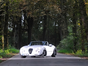 Way, White, Wiesmann MF3