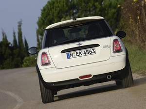 trunk, Mini One D, flap