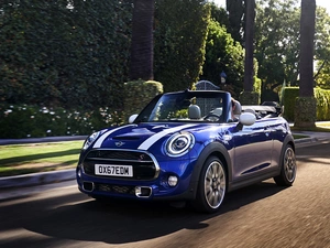 Blue, Convertible, 2019, Mini Cooper S