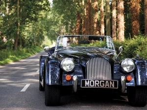 Automobile, Way, forest, Morgan
