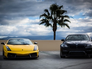 Mountains, clouds, Lamborghini, Palm, BMW F10