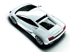 White, Lamborghini Murcielago
