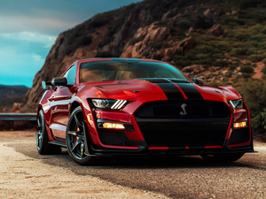 Ford Mustang Shelby GT500, Front