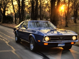 Street, Ford, west, Mustang, Granate, Park, sun