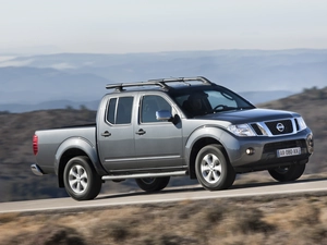 Gray, Nissan Navara