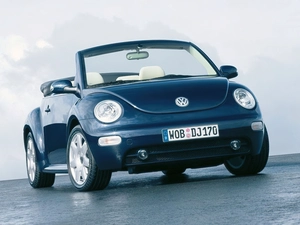 Volkswagen New Beetle, White Skin