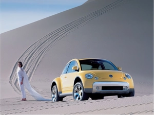 New Beetle, Desert
