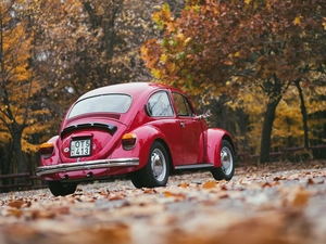 viewes, autumn, Volkswagen, New Beetles, Automobile, trees
