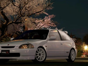 Night, White, Honda