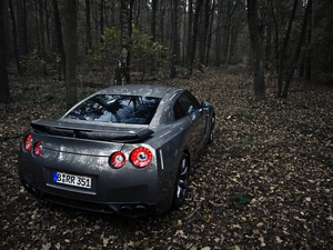 Nissan GTR, forest