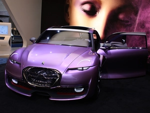 Doors, Citroen Revolte, Open