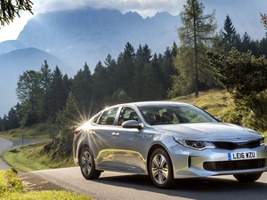 Kia optima, trees, viewes, Way