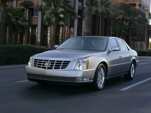 Way, Cadillac DTS, Palms