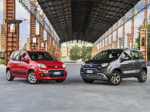 Two cars, Fiat Panda