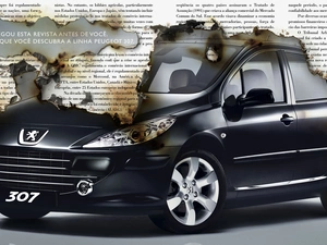 Peugeot, burnt, Paper, 307