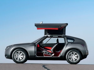 Infiniti Triant, Left profile