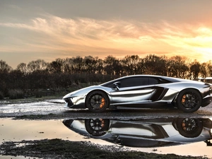 trees, Lamborghini Adventador, puddle, reflection, viewes, Way