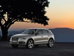 Audi Q5 SUV