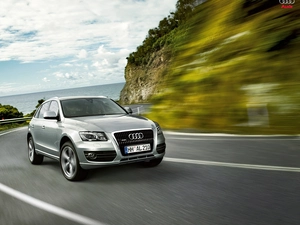 Way, Silver, Audi Q5