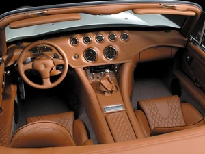 skin, Wiesmann MF3, quilted