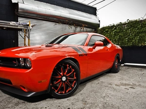 R/T, Dodge, Big, wheels, Orange, Challenger