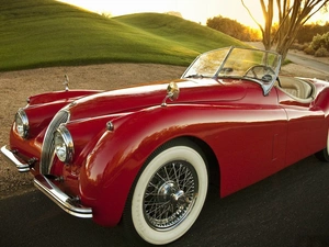 120, Roadster, Jaguar, XK, 1954