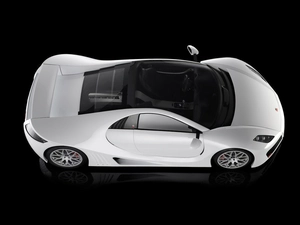 the roof, White, Marussia B1