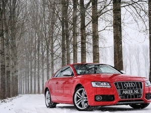 Way, snow, Audi S5, forest, Red