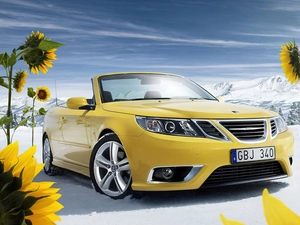 Yellow, Saab, Nice sunflowers, Automobile