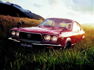 grass, Mazda RX-3, Savanna