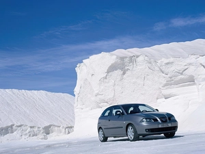 Seat Ibiza, Iceberg
