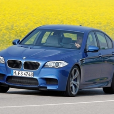 BMW F10, serie 5