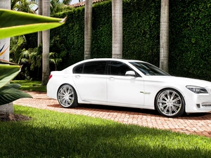 White, Series 7, green, BMW