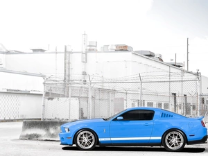 blue, Shelby, GT 500, Mustang