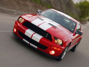 GT500, Ford Mustang, Shelby