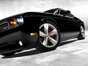 Brake, Dodge Challenger, Shield
