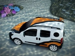 fish, Citroen Nemo, shoal