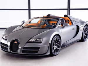 Silver, Bugatti Veyron