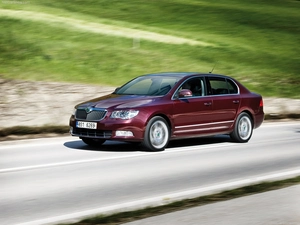 claret, Skoda Superb, Way, Metalic