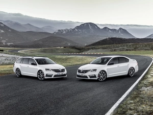 Two cars, cars, Skoda Octavia, White