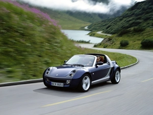 Smart Roadster, Street