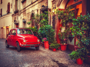 Plants, Fiat 500, Street