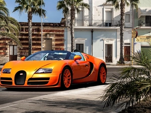 Palms, Bugatti Veyron Vitesse, Street