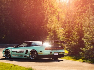forest, Honda NSX, sun, autumn, rays, Way